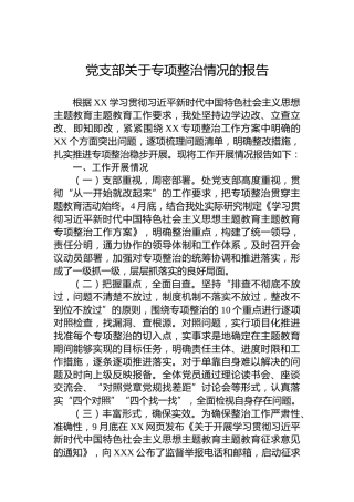 党支部关于专项整治情况的报告