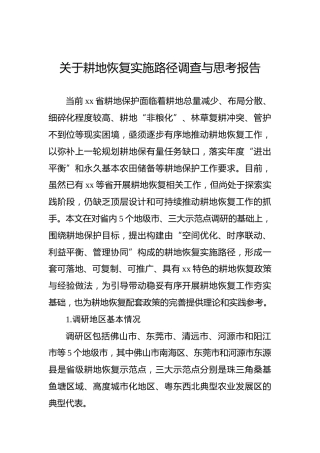 关于耕地恢复实施路径调查与思考报告