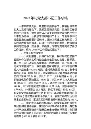 2023年村党支部书记工作总结