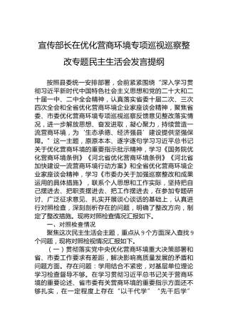 宣传部长在优化营商环境专项巡视巡察整改专题民主生活会发言提纲