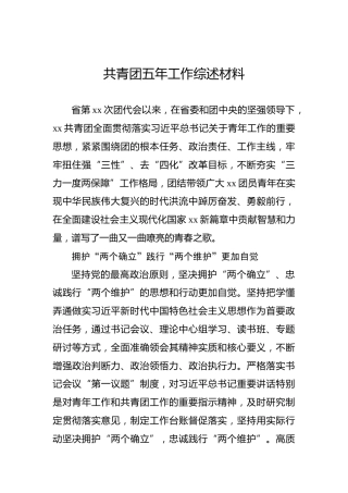 共青团五年工作综述材料