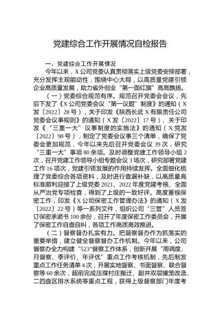党建综合工作开展情况自检报告