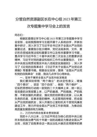 分管自然资源副区长在中心组2023年第三次专题集中学习会上的发言