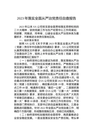 2023年落实全面从严治党责任自查报告