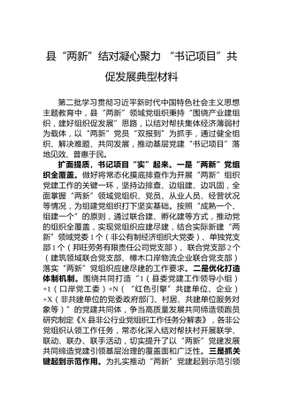 县“两新”结对凝心聚力“书记项目”共促发展典型材料