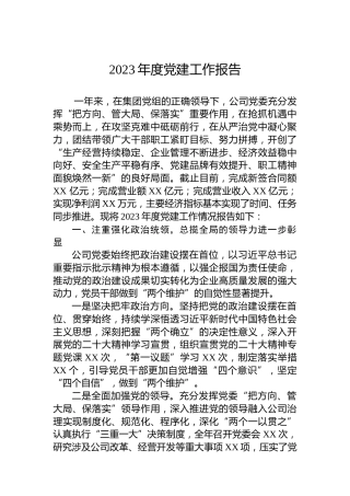 2023年度党建工作报告
