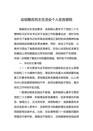 巡视整改民主生活会个人发言提纲
