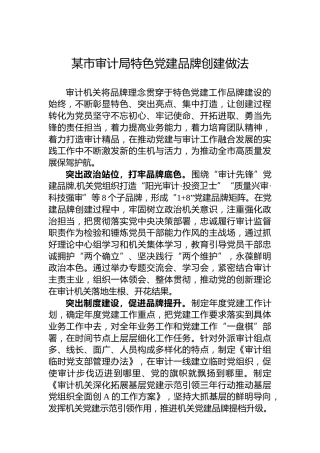 某市审计局特色党建品牌创建做法