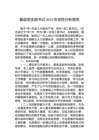 基层党支部书记2023年党性分析报告