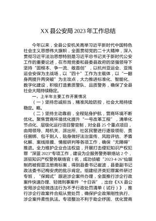XX县公安局2023年工作总结