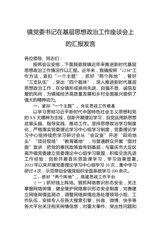 镇党委书记在基层思想政治工作座谈会上的汇报发言