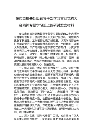 在市直机关处级领导干部学习贯彻党的大会精神专题学习班上的研讨发言材料