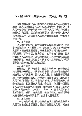 XX区2023年数字人民币试点行动计划