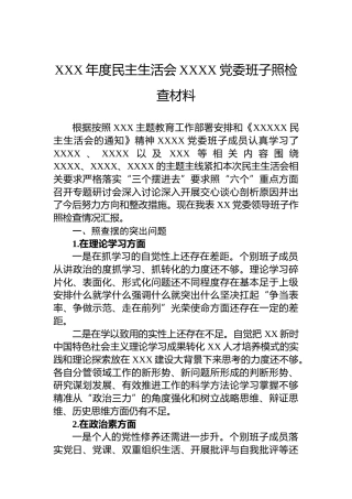 XXX年度民主生活会XXXX党委班子照检查材料
