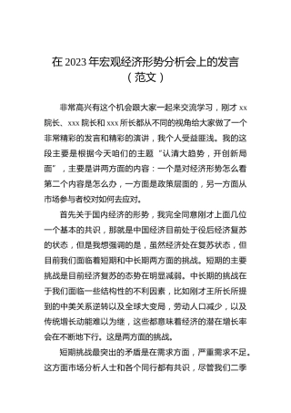 在2023年宏观经济形势分析会上的发言（范文）
