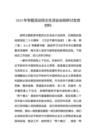 2023年专题活动民主生活会会前研讨发言材料