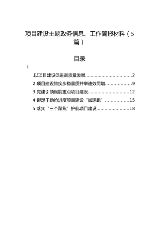 项目建设主题政务信息、工作简报材料（5篇）
