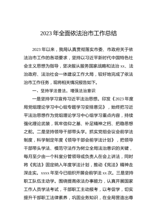 2023年全面依法治市工作总结