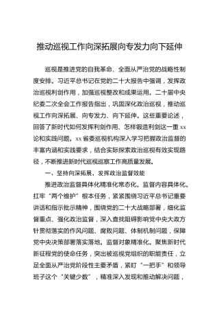 推动巡视工作向深拓展向专发力向下延伸