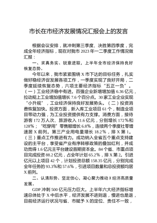 市长在市经济发展情况汇报会上的发言