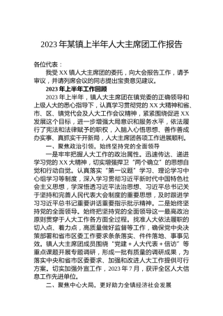 2023年某镇上半年人大主席团工作报告