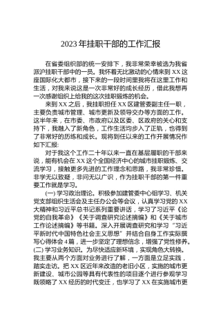 2023年挂职干部的工作汇报