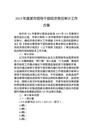 2023年度某市领导干部经济责任审计工作方案