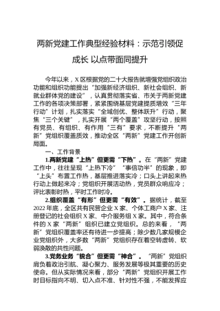 两新党建工作典型经验材料：示范引领促成长以点带面同提升