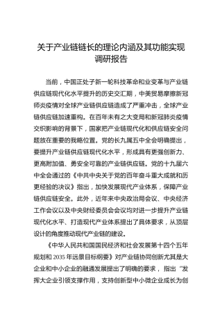 关于产业链链长的理论内涵及其功能实现调研报告