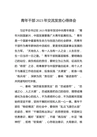 青年干部2023年交流发言心得体会
