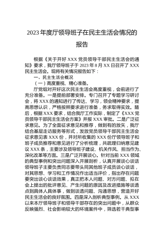 2023年度厅领导班子在民主生活会情况的报告