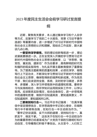 2023年度民主生活会会前学习研讨发言提纲