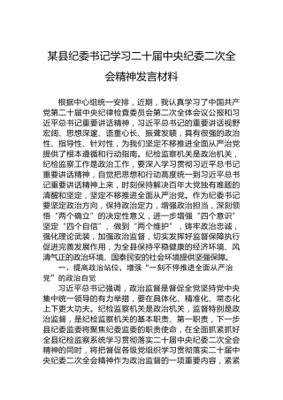 某县纪委书记学习二十届中央纪委二次全会精神发言材料