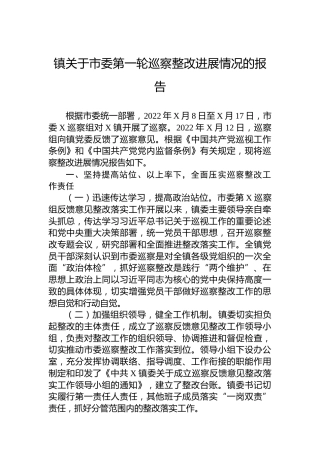 镇关于市委第一轮巡察整改进展情况的报告
