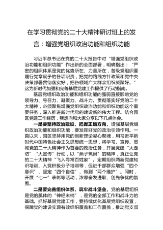 在学习贯彻党的二十大精神研讨班上的发言：增强党组织政治功能和组织功能
