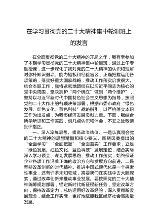 在学习贯彻党的二十大精神集中轮训班上的发言