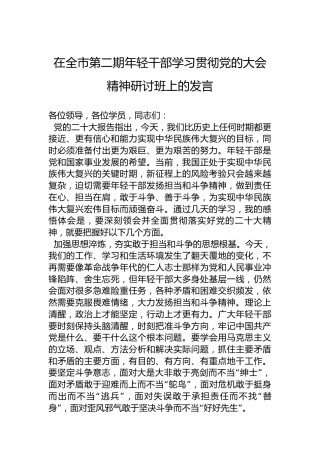 在全市第二期年轻干部学习贯彻党的二十大精神研讨班上的发言