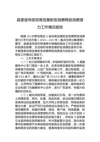 县委宣传部培育发展新型消费释放消费潜力工作情况报告
