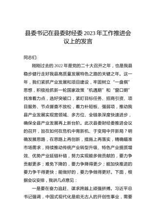 县委书记在县委财经委2023年工作推进会议上的发言