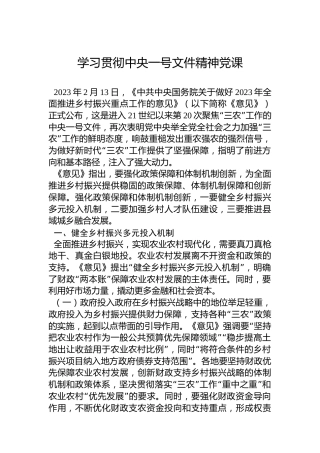 学习贯彻中央一号文件精神党课