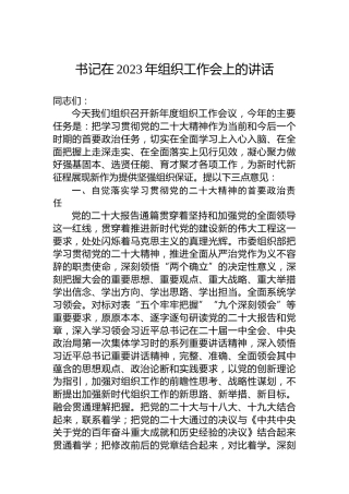 书记在2023年组织工作会上的讲话