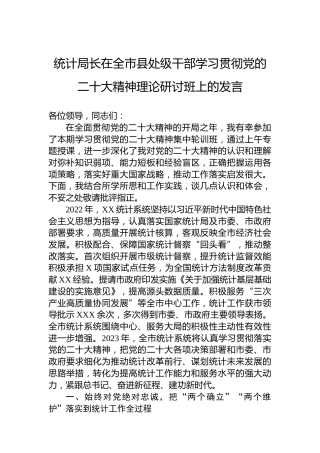 统计局长在全市县处级干部学习贯彻党的二十大精神理论研讨班上的发言