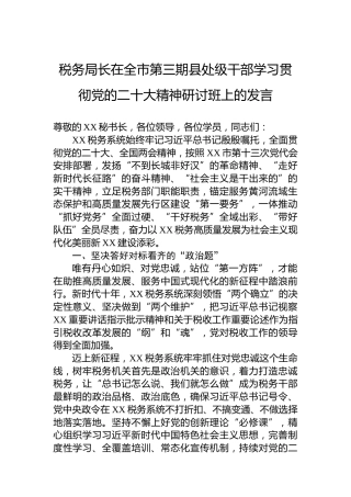 税务局长在全市第三期县处级干部学习贯彻党的二十大精神研讨班上的发言