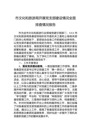 市文化和旅游局开展党支部建设情况全面排查情况报告