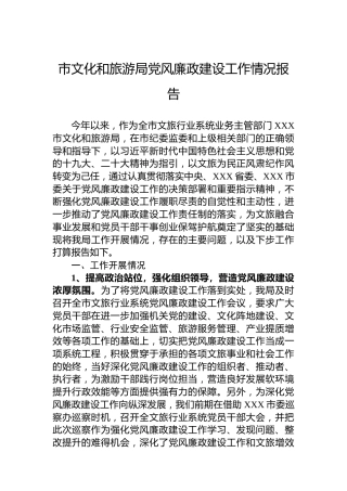 市文化和旅游局党风廉政建设工作情况报告