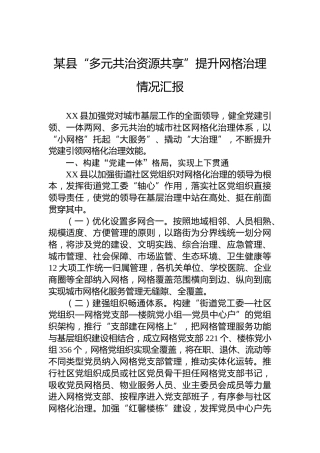 某县“多元共治资源共享”提升网格治理情况汇报