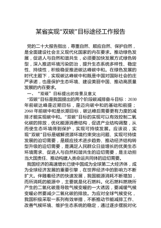 某省实现“双碳”目标途径工作报告