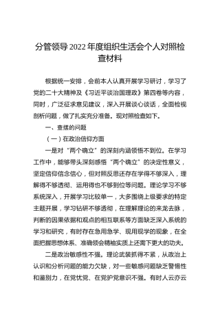 分管领导2022年度组织生活会个人对照检查材料