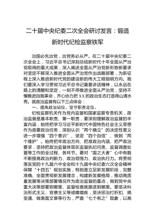 二十届中央纪委二次全会研讨发言：锻造新时代纪检监察铁军