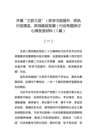 开展“三抓三促”（抓学习促提升、抓执行促落实、抓效能促发展）行动专题研讨心得发言材料（5篇）
